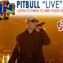 Pitbull ALL Weekend